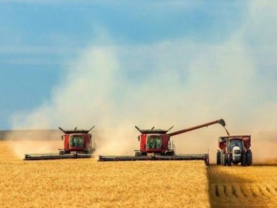Лидеры агрорынка Украины 2019. Итоги сельскохозяйственного года.