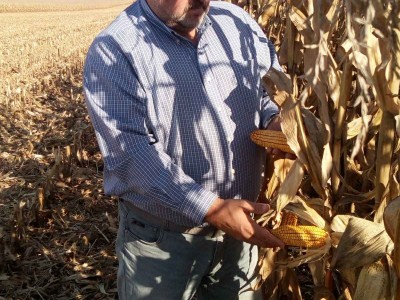 Про вирощування кукурудзи в умовах погодної нестабільності